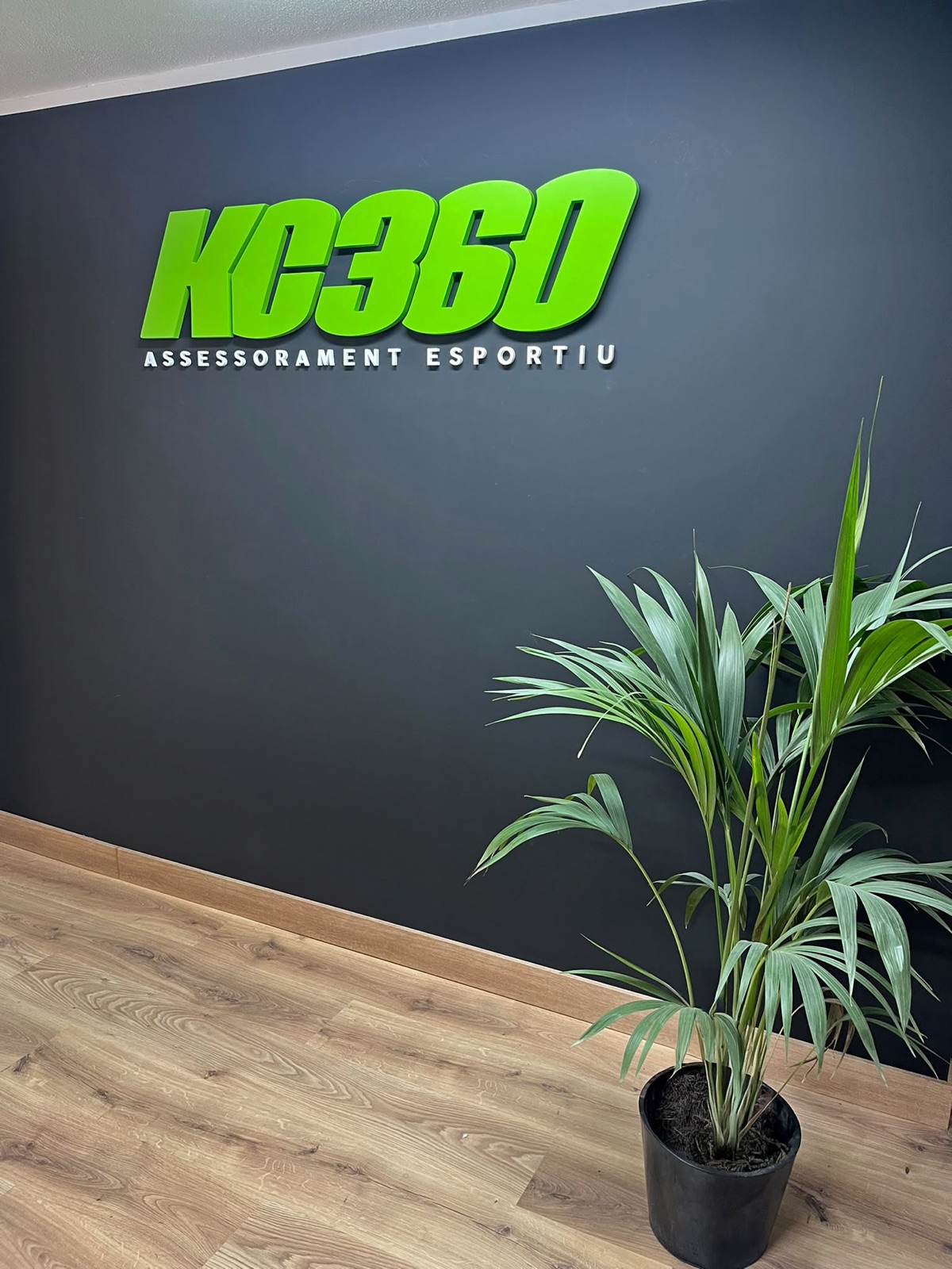 Projecte KC360 · Key Carol de Creatius.cat