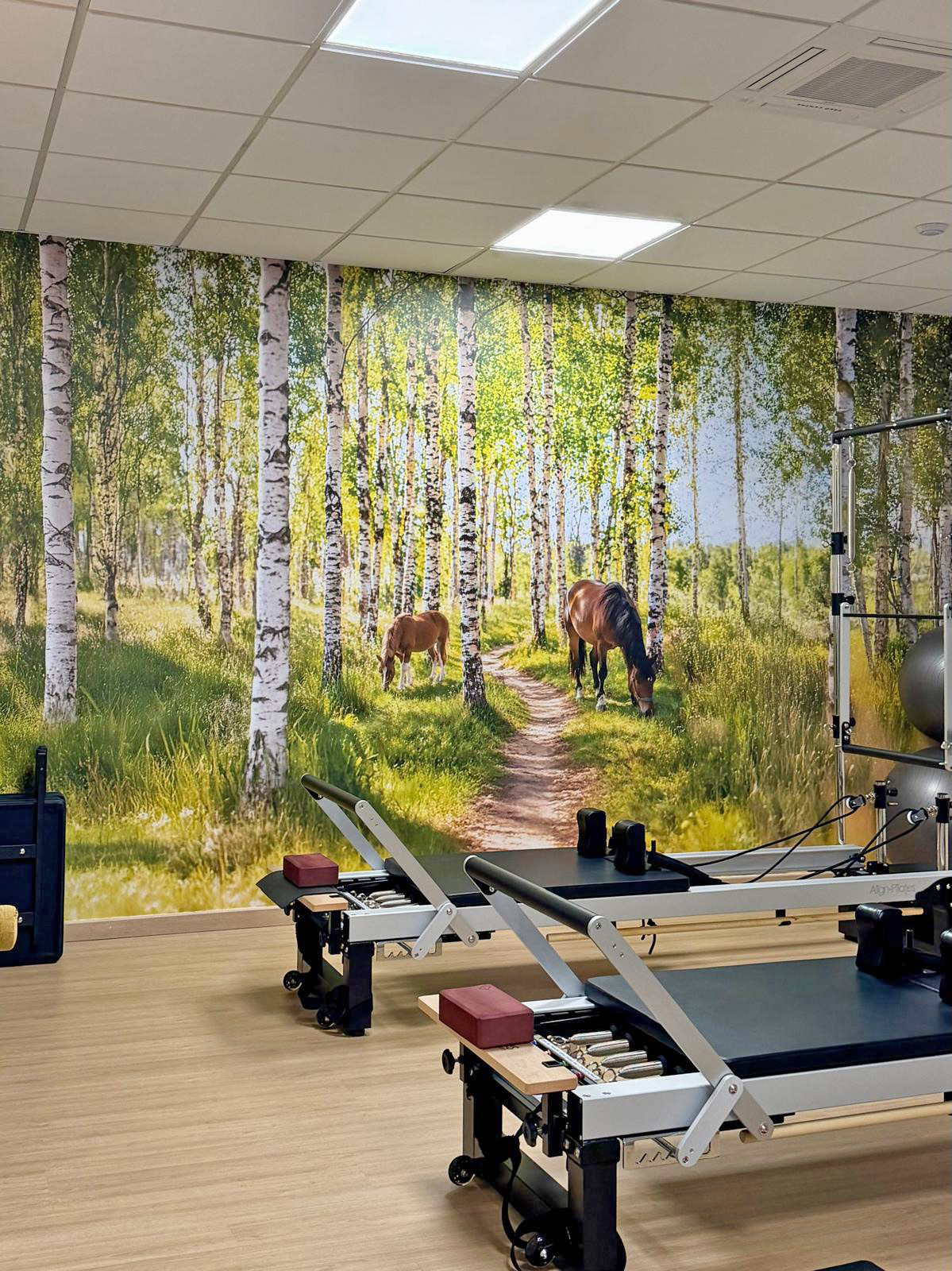 Projecte L13 Pilates Reformer de Creatius.cat